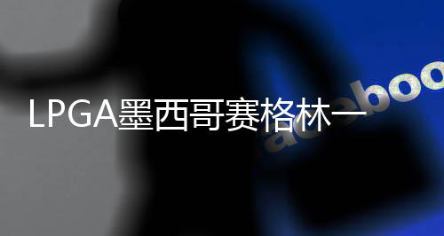 维维墨西 科达T领先哥赛格林4张进洞一杆